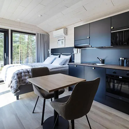 Visit Pyhae F By Interhome *