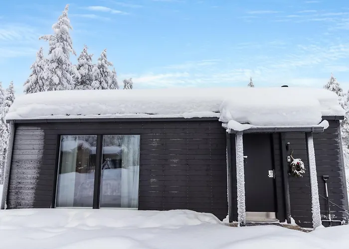 Prázdninový dům Visit Pyhae F By Interhome *